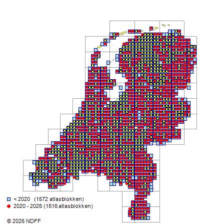 Verspreiding in Nederland — Acer campestre