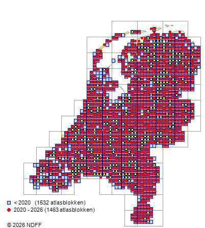 Distribution in the Netherlands — Prunus padus