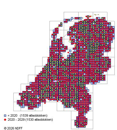 Verspreiding in Nederland — Prunus spinosa