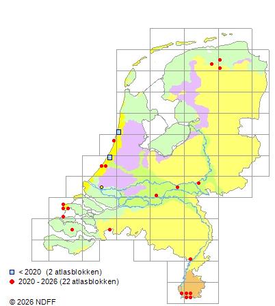 Verspreiding in Nederland — Rosa squarrosa