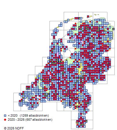 Distribution in the Netherlands — Ribes nigrum