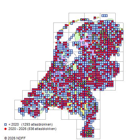 Verbreitung in den Niederlanden — Ribes uva-crispa