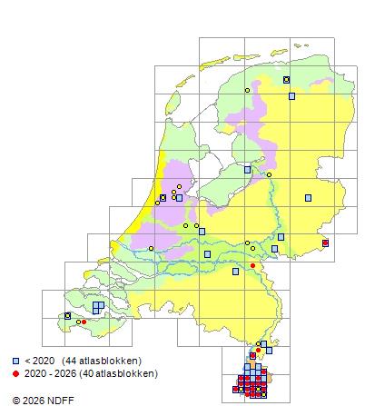 Verspreiding in Nederland — Rosa arvensis