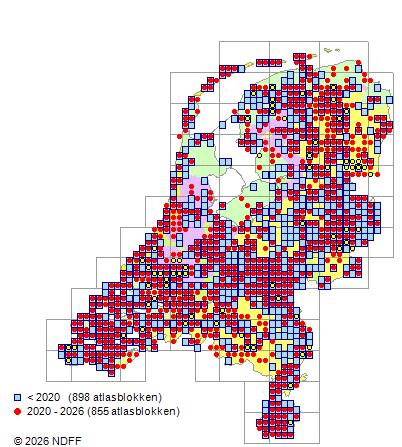 Distribution in the Netherlands — Rosa canina