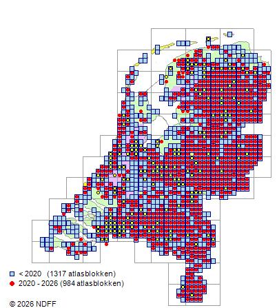 Verspreiding in Nederland — Rubus idaeus