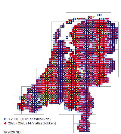 Verspreiding in Nederland — Salix alba