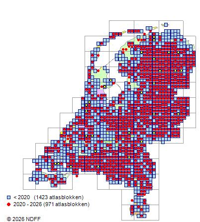 Verspreiding in Nederland — Salix aurita