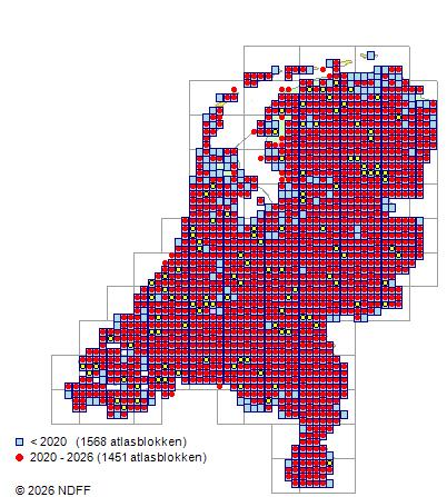 Distribution in the Netherlands — Salix caprea