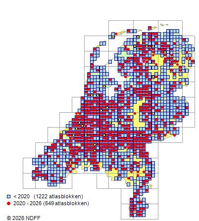Verspreiding in Nederland — Salix triandra