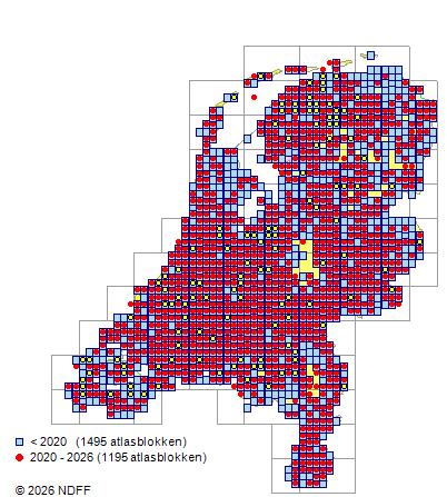 Verspreiding in Nederland — Salix viminalis