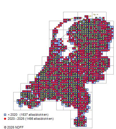 Verspreiding in Nederland — Viburnum opulus