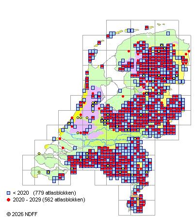 Verspreiding in Nederland — Struthiopteris spicant