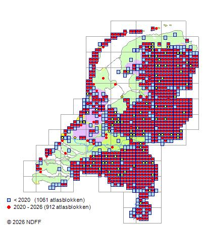 Verspreiding in Nederland — Calluna vulgaris