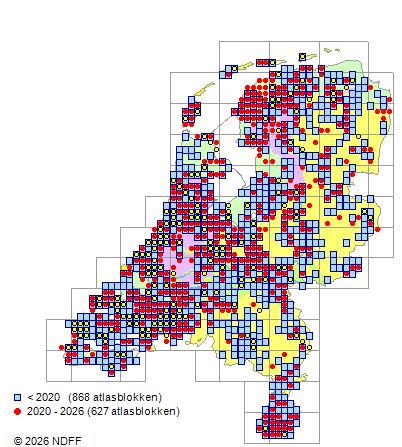 Verspreiding in Nederland — Ulmus glabra