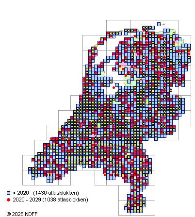 Verspreiding in Nederland — Malus sylvestris s.s.