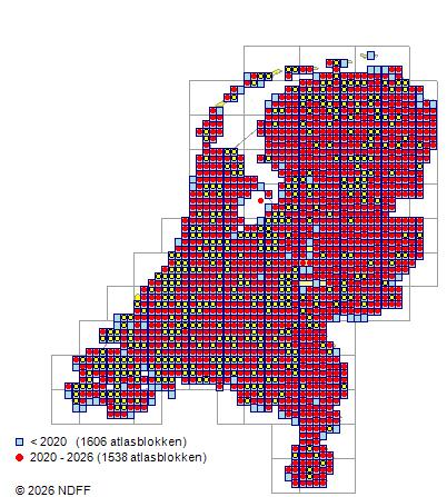 Verspreiding in Nederland — Alnus glutinosa