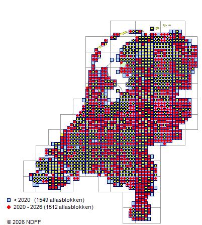Verspreiding in Nederland — Corylus avellana