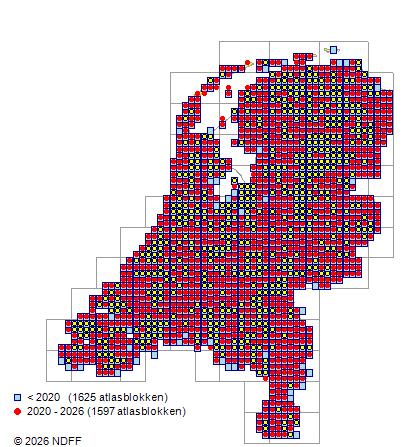 Verspreiding in Nederland — Crataegus monogyna