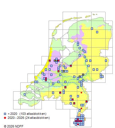 Distribution in the Netherlands — Cystopteris fragilis