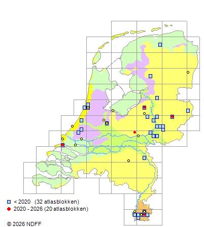 Verspreiding in Nederland — Daphne mezereum