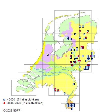 Verbreitung in den Niederlanden — Phegopteris connectilis