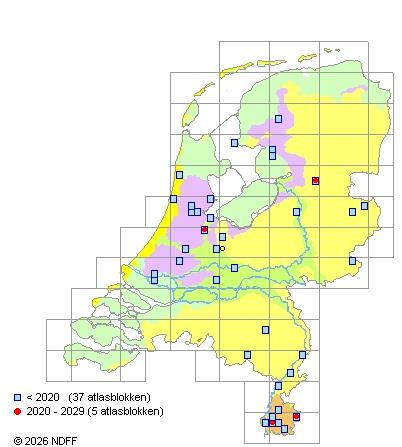 Verspreiding in Nederland — Gymnocarpium robertianum