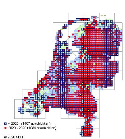 Verspreiding in Nederland — Dryopteris carthusiana
