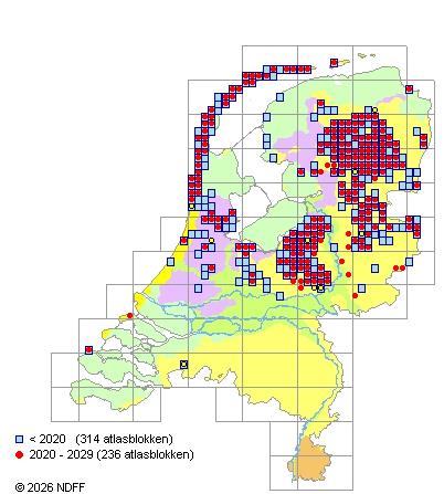 Verspreiding in Nederland — Empetrum nigrum