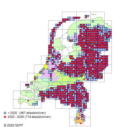 Verspreiding in Nederland — Erica tetralix