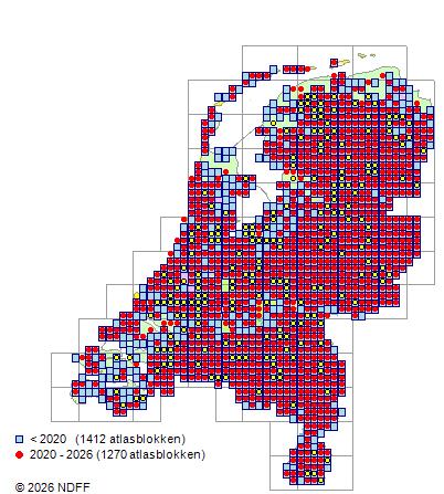 Verspreiding in Nederland — Frangula alnus