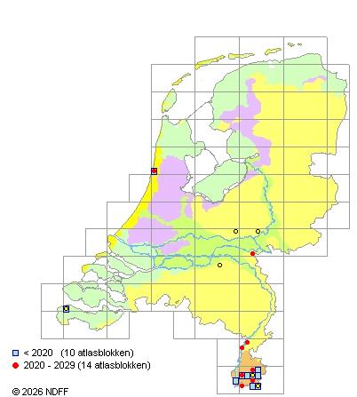 Verspreiding in Nederland — Rosa agrestis