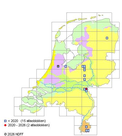 Verspreiding in Nederland — Genista germanica