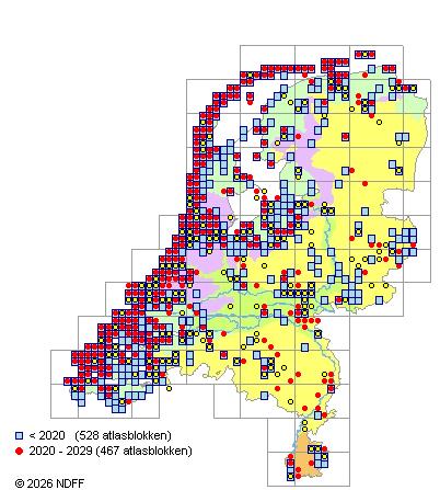 Verspreiding in Nederland — Hippophae rhamnoides