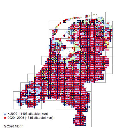 Verspreiding in Nederland — Humulus lupulus