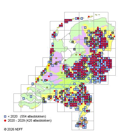 Verspreiding in Nederland — Juniperus communis