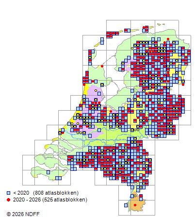 Verspreiding in Nederland — Myrica gale