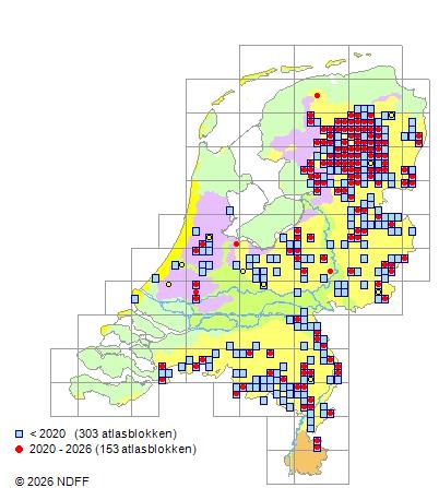 Distribution in the Netherlands — Vaccinium oxycoccos