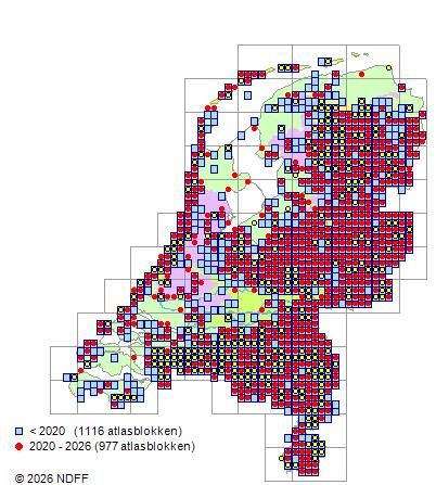 Distribution in the Netherlands — Pinus sylvestris