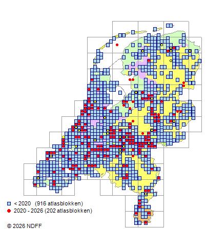Verspreiding in Nederland — Populus nigra