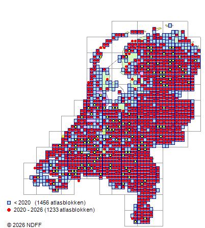 Verspreiding in Nederland — Populus tremula