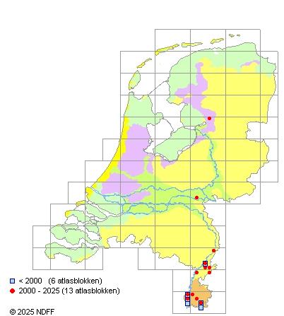 Gestippelde alver Alburnoides bipunctatus Verspreidingskaart NDFF