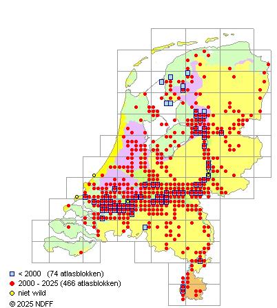 Roofblei Leuciscus aspius Verspreidingskaart NDFF