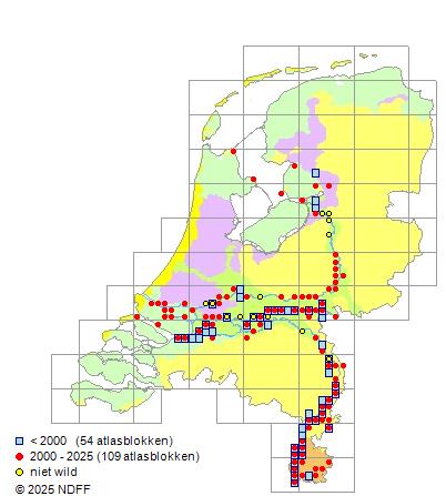 Sneep Chondrostoma nasus Verspreidingskaart NDFF