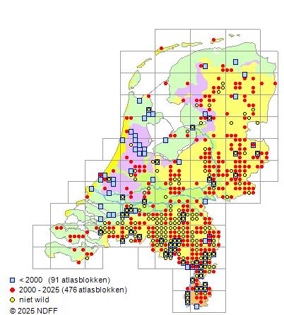 Zonnebaars Lepomis gibbosus Verspreidingskaart NDFF