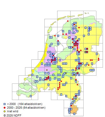 Kwabaal Lota lota Verspreidingskaart NDFF 