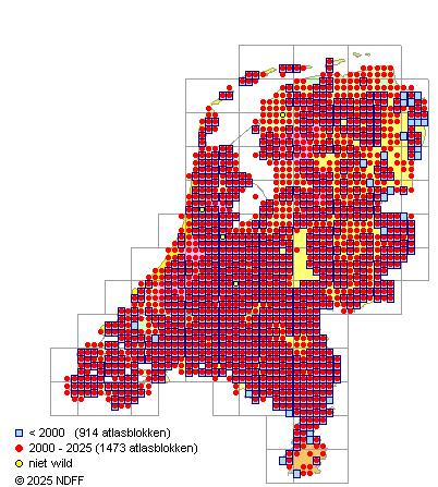 Tiendoornige stekelbaars Pungitius pungitius Verspreidingskaart NDFF