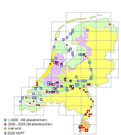 Atlantische Zalm Salmo salar Verspreidingskaart RAVON