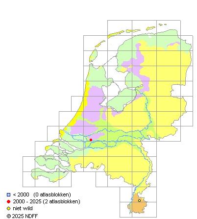 Brasemblei Ballerus ballerus Verspreidingskaart RAVON