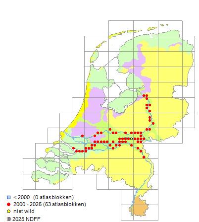 Witvinriviergrondel Romanogobio belingi Verspreidingskaart NDFF