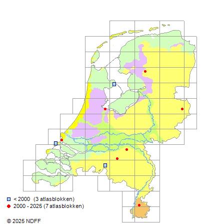 Grootkopkarper Hypophthalmichthys nobilis Verspreidingskaart NDFF